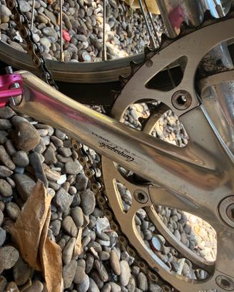Bici campagnolo da corsa