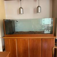 Acquario 300 litri con accessori 