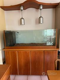 Acquario 300 litri con accessori 