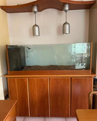 Acquario 300 litri con accessori 
