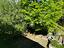 Immagine 27