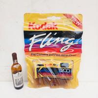 scultura acrilico dopamine house vintage kodak