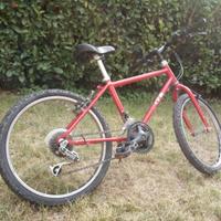 Bicicletta da bambina/o ruote da 20"