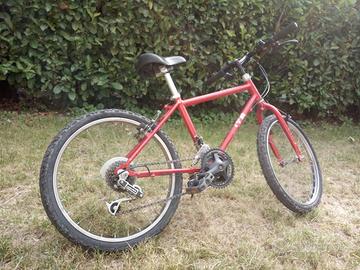 Bicicletta da bambina/o ruote da 20"