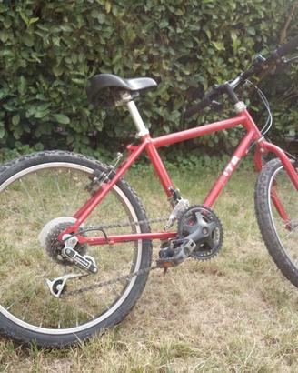 Bicicletta da bambina/o ruote da 20"