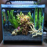 Acquario cubo 50 litri seminuovo
