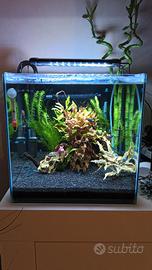 Acquario cubo 50 litri seminuovo