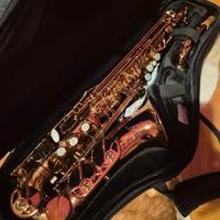 sax alto rampone performance