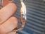 Immagine 4