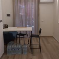 Bilocale ristrutturato, piano terra