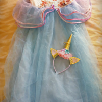 Costume / vestito di carnevale