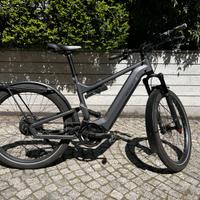 Riese & Muller Delite GT Vario