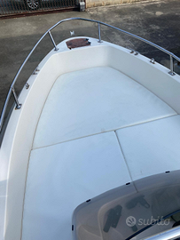 Barca Molinari 5mt+motore 40cv+carrello