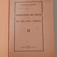 CASTIGLIONE DEI PEPOLI E LE SUE DUE CHIESE.