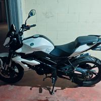 Benelli BN 125 (2024) Praticamente Nuova 3200km