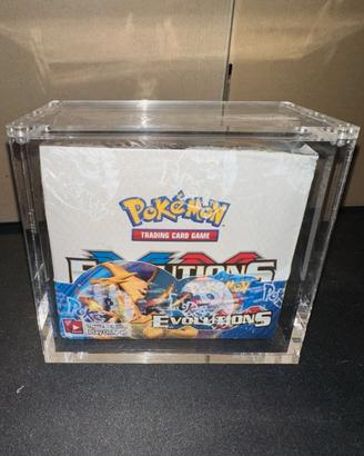 Pokémon TCG Display, Evolutions