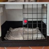 Trasportino Ferplast Atlas Car 80