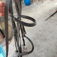 testiera per cavallo