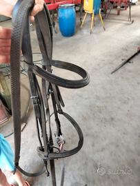 testiera per cavallo