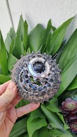 gruppo Pignoni shimano ultegra 10v