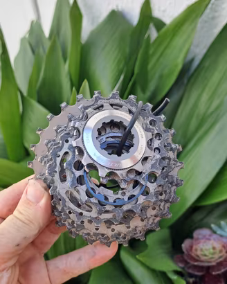 gruppo Pignoni shimano ultegra 10v