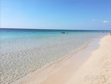 CASA VACANZE PUGLIA Mare Salento 1P