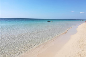 CASA VACANZE PUGLIA Mare Salento 1P