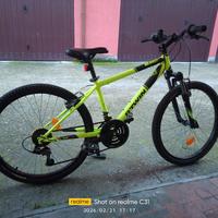 bicicletta MTB btw da 24 