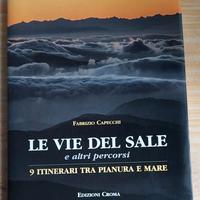 Libro Le vie del sale