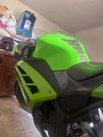 kawasaki ninja