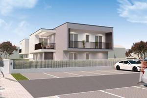 Olmi di San Biagio di Callalta