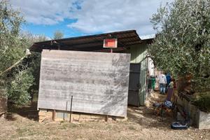 Terreno agricolo con uliveto