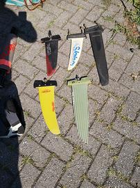 vele windsurf , pinne