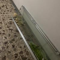 Box doccia nicchia doppia anta scorrevole