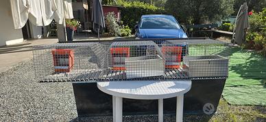 gabbia per conigli,cavie,uccelli,quaglie e galline