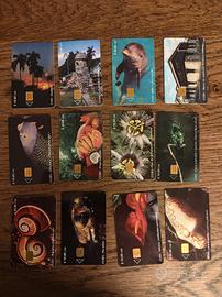 Lotto schede telefoniche internazionali