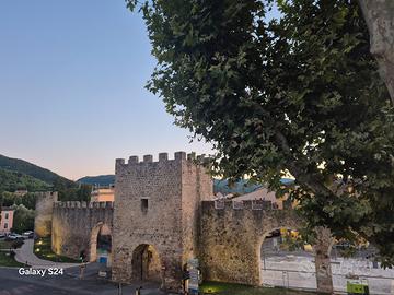 Disponibilità camere in appartamento