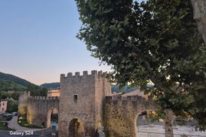 Disponibilità camere in appartamento