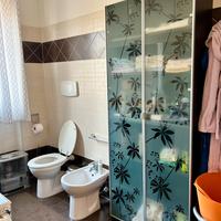 Armadio con ante in vetro decorato