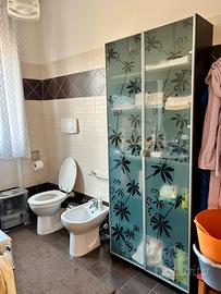 Armadio con ante in vetro decorato