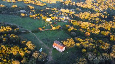 Terreno agicolo con stazzo