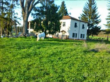 Villa con altri immobili e terreno