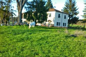 Villa con altri immobili e terreno