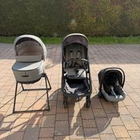 Trio Inglesina aptica Xt darwin