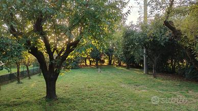 TERRENO da 1.465 m2 a GORLE (BG)
