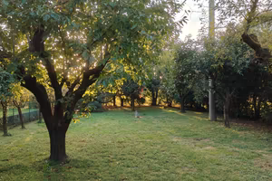 TERRENO da 1.465 m2 a GORLE (BG)