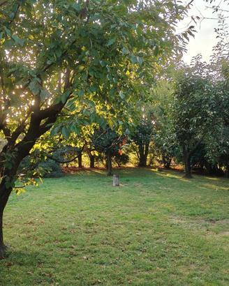 TERRENO da 1.465 m2 a GORLE (BG)
