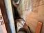Immagine 25