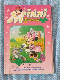 Minni & Company n. 22 Marzo 1995
