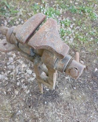 Morsa a gambo da campo